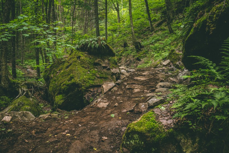 Legzpress Trail