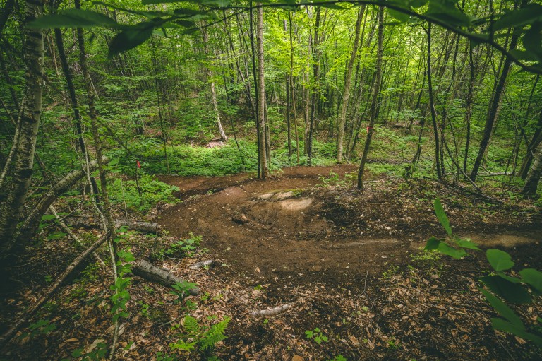 Legzpress Trail