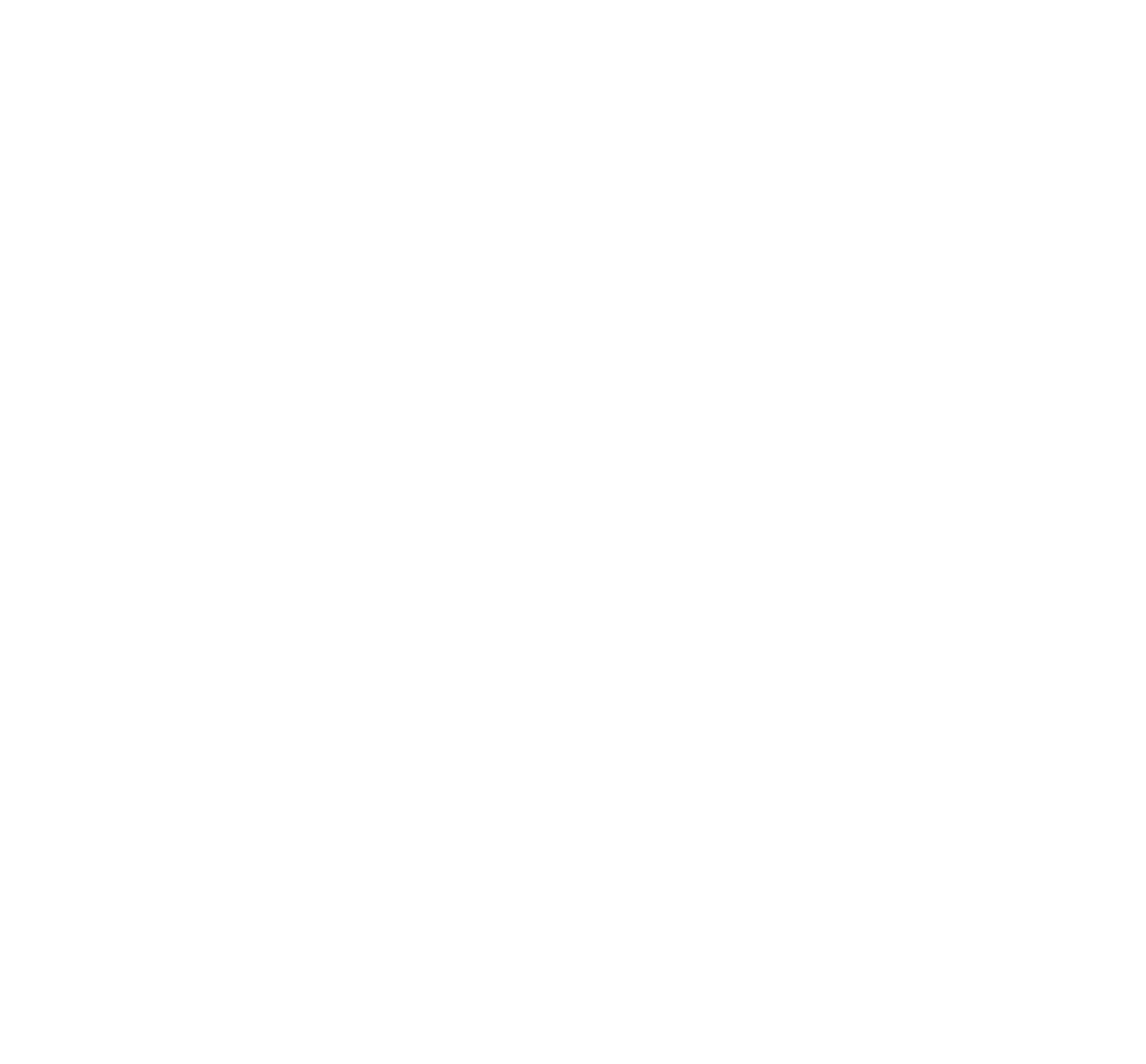 VMM Logo