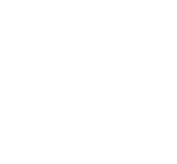 VMM Logo